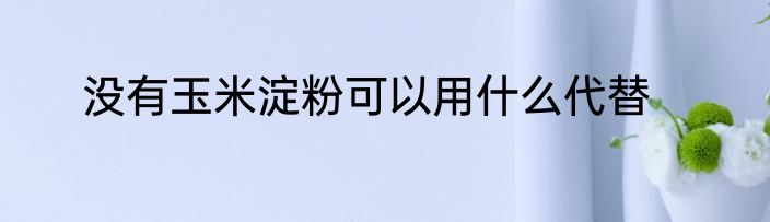 没有玉米淀粉可以用什么代替