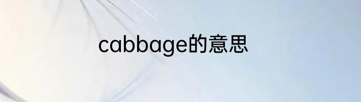 cabbage的意思