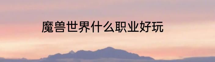 魔兽世界什么职业好玩