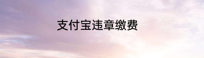 支付宝违章缴费