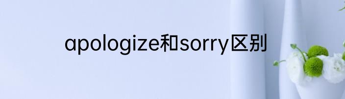apologize和sorry区别