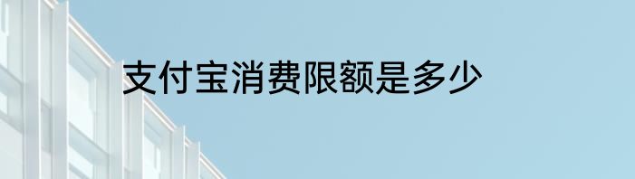 支付宝消费限额是多少
