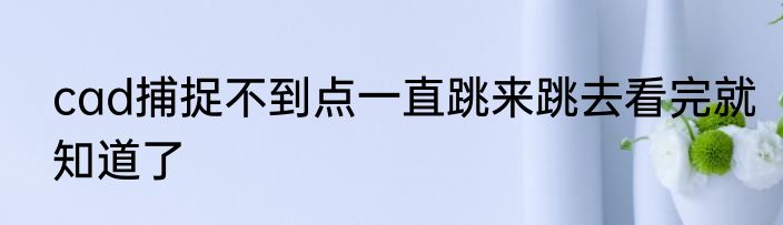 cad捕捉不到点一直跳来跳去看完就知道了