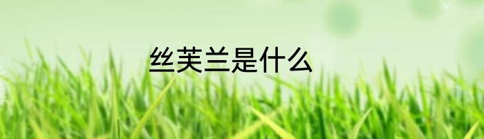 丝芙兰是什么