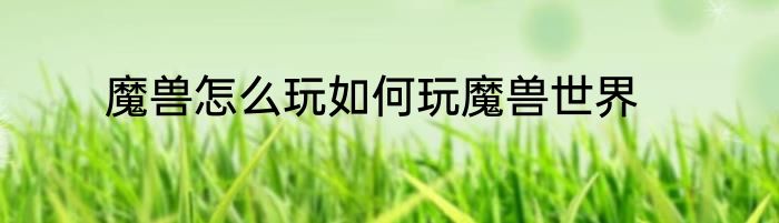 魔兽怎么玩如何玩魔兽世界