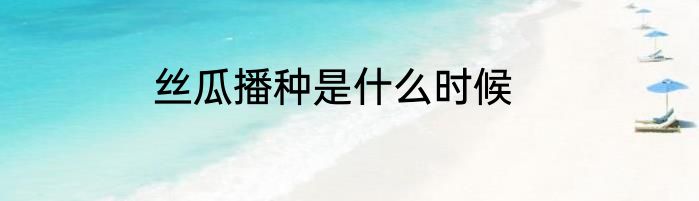 丝瓜播种是什么时候