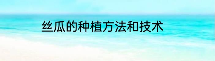 丝瓜的种植方法和技术