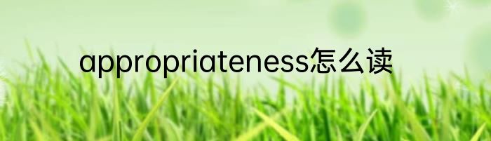 appropriateness怎么读