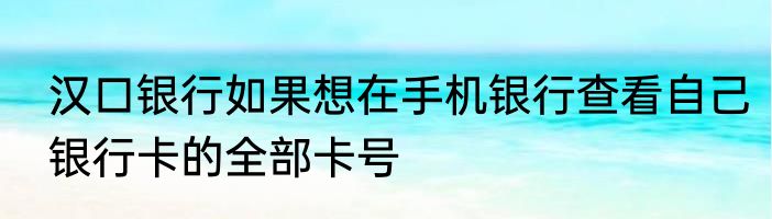 汉口银行如果想在手机银行查看自己银行卡的全部卡号