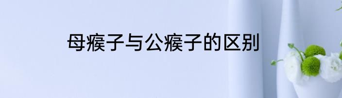 母瘊子与公瘊子的区别