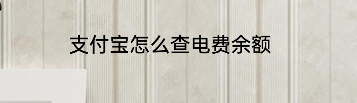 支付宝怎么查电费余额
