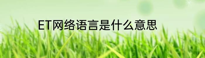 ET网络语言是什么意思