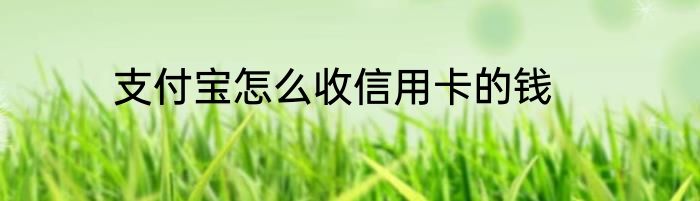 支付宝怎么收信用卡的钱