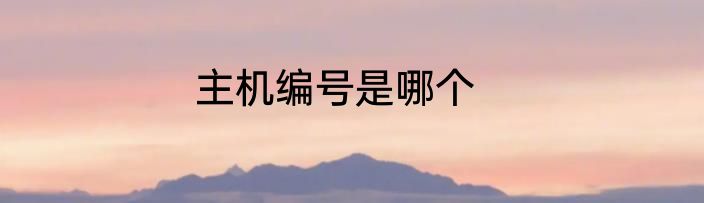 主机编号是哪个