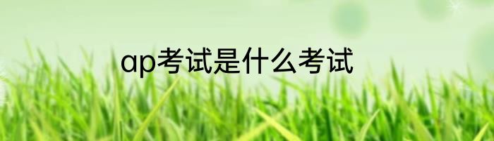 ap考试是什么考试