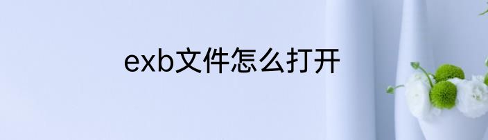 exb文件怎么打开