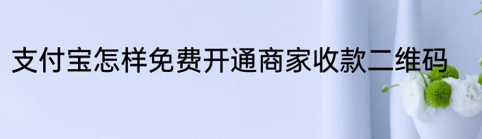 支付宝怎样免费开通商家收款二维码