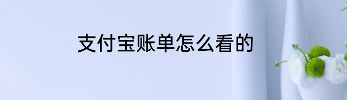 支付宝账单怎么看的