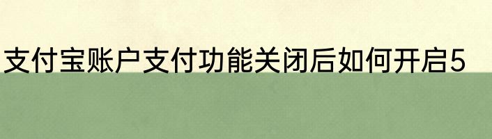 支付宝账户支付功能关闭后如何开启5