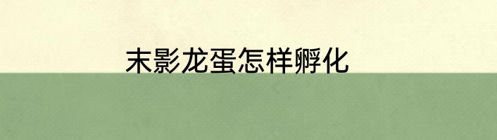 末影龙蛋怎样孵化