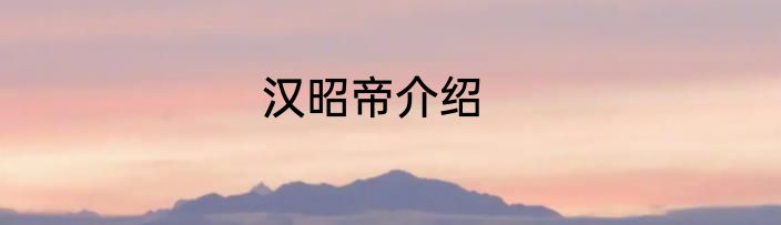 汉昭帝介绍