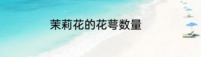 茉莉花的花萼数量