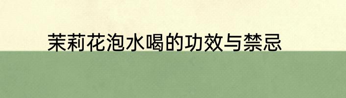 茉莉花泡水喝的功效与禁忌
