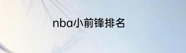 nba小前锋排名