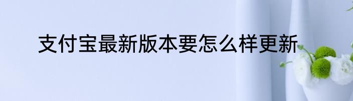 支付宝最新版本要怎么样更新