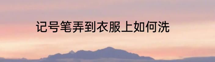记号笔弄到衣服上如何洗