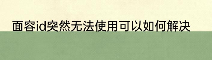 面容id突然无法使用可以如何解决