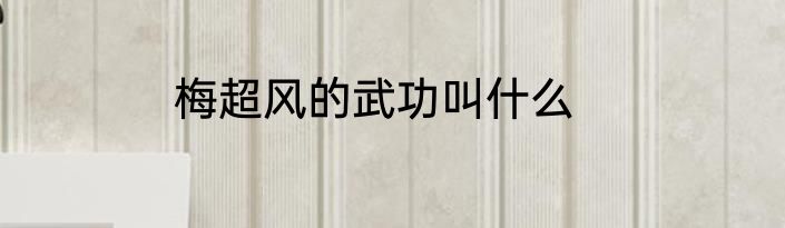 梅超风的武功叫什么