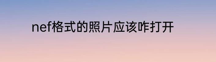 nef格式的照片应该咋打开