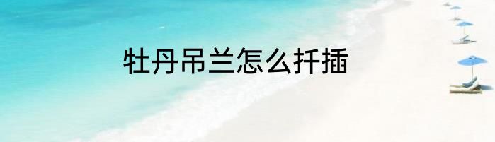 牡丹吊兰怎么扦插