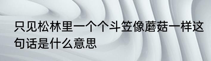 只见松林里一个个斗笠像蘑菇一样这句话是什么意思