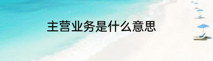 主营业务是什么意思