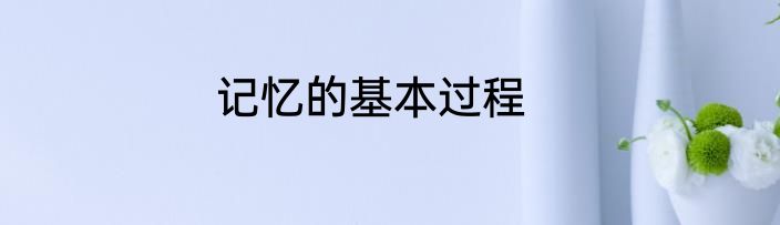 记忆的基本过程