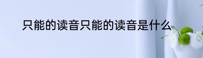 只能的读音只能的读音是什么