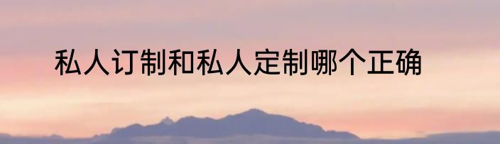 私人订制和私人定制哪个正确
