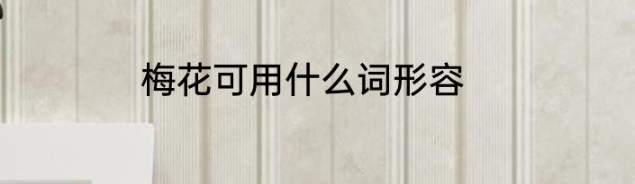 梅花可用什么词形容