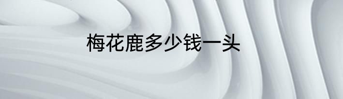 梅花鹿多少钱一头