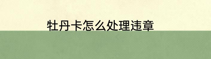 牡丹卡怎么处理违章