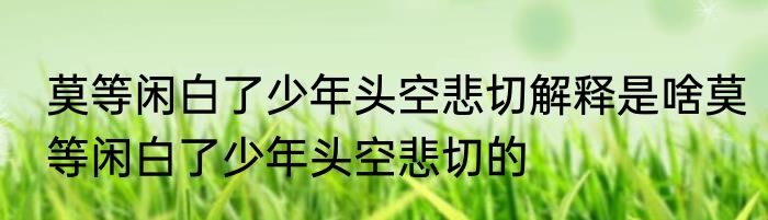 莫等闲白了少年头空悲切解释是啥莫等闲白了少年头空悲切的