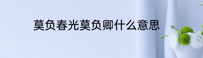 莫负春光莫负卿什么意思
