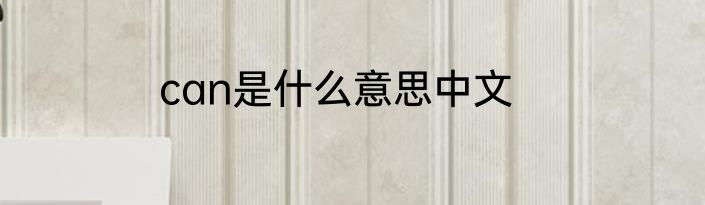 can是什么意思中文