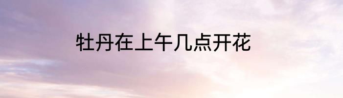 牡丹在上午几点开花