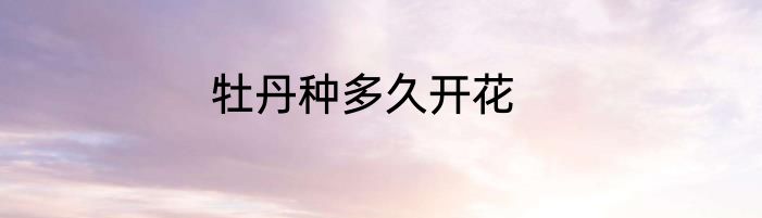 牡丹种多久开花