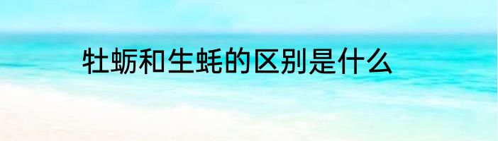 牡蛎和生蚝的区别是什么