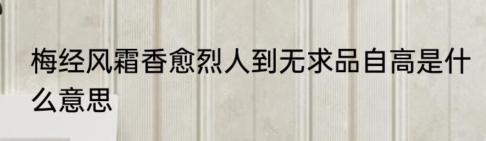 梅经风霜香愈烈人到无求品自高是什么意思