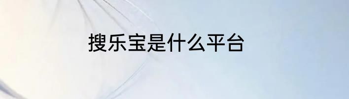 搜乐宝是什么平台